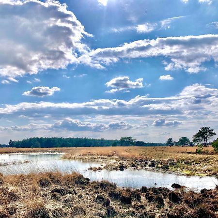 Veluwse Wolf: Natuurlijk Genieten! Отерло Екстериор снимка