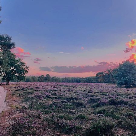 Veluwse Wolf: Natuurlijk Genieten! Отерло Екстериор снимка